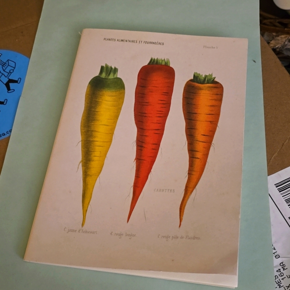 John Derian Blank Sketch Book Journal - Garden - Carrots  + Pears